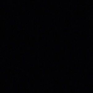 Meet your Posher, Dylan