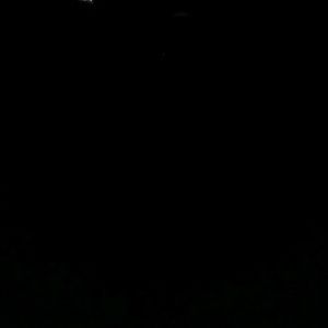 Meet your Posher, Darcey