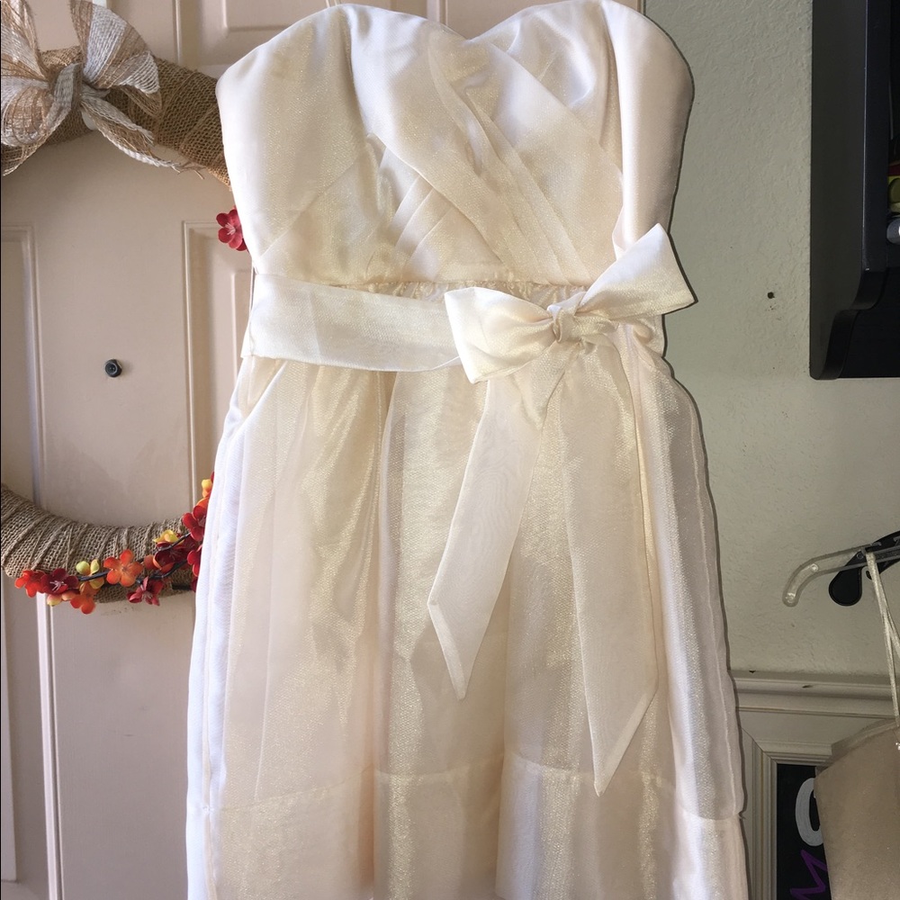 BCBG Max and Cleo Celine Organza dress