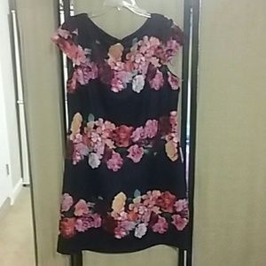 Vince  Camuto size 16 dress