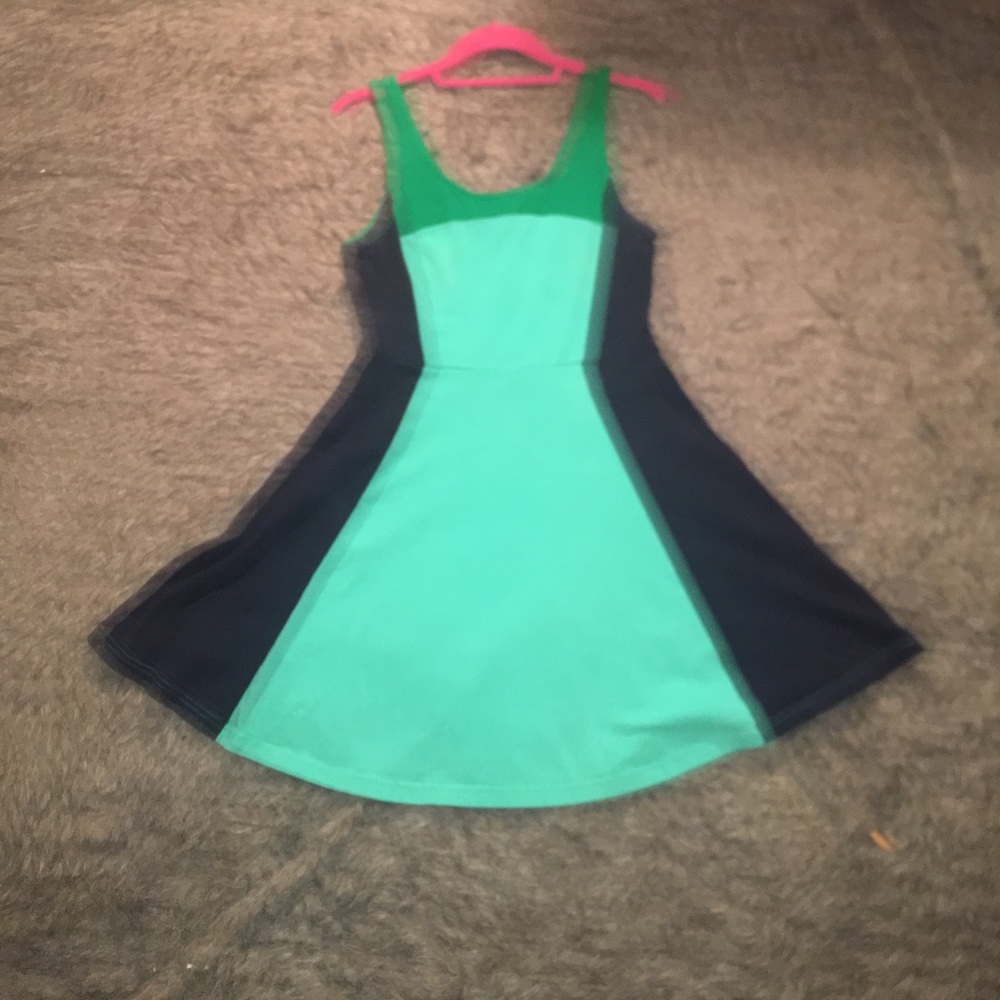 Express Skater Dress