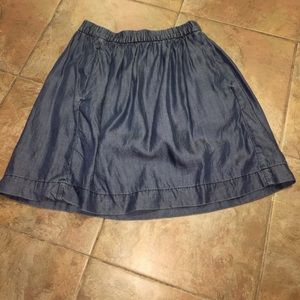 Gap Chambray Small Skirt