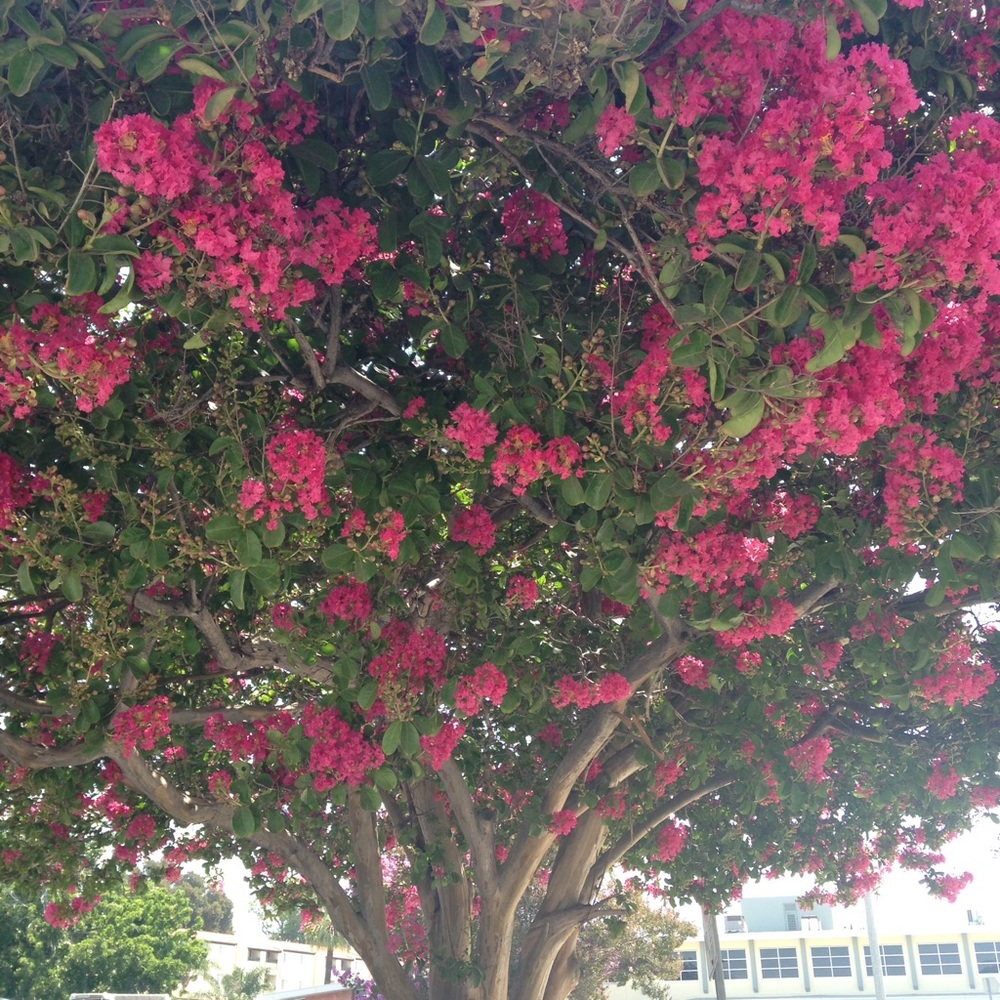 Meet your Posher, Ame