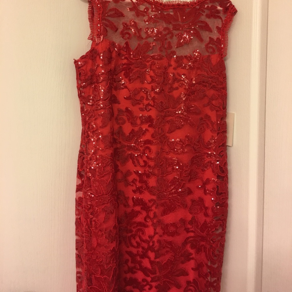 Boston Proper Holiday mesh dress!