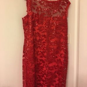 Boston Proper Holiday mesh dress!