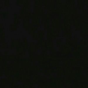 Meet your Posher, Zoey