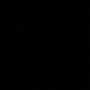 Meet your Posher, Saja