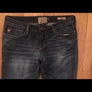 Women's Dear John Jeans Hybrid size 30