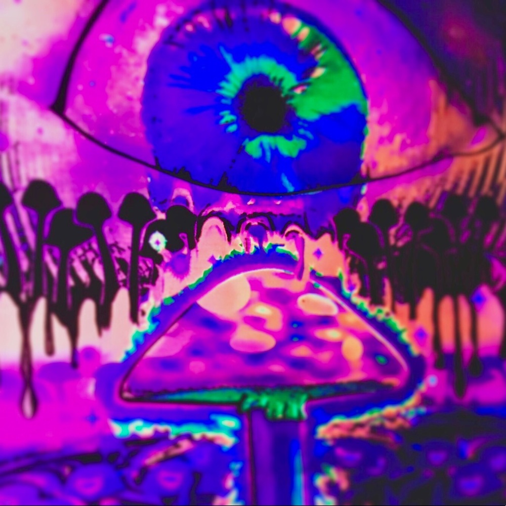 Meet your Posher, Tristin