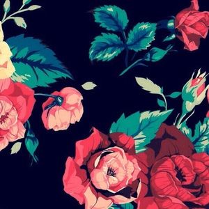 Meet your Posher, Cassie