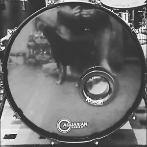 Meet your Posher, Chad