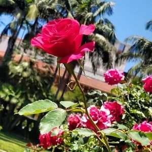 Meet your Posher, Kay