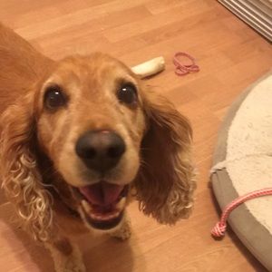 Meet your Posher, Kelly