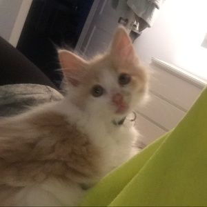 Meet your Posher, Kate