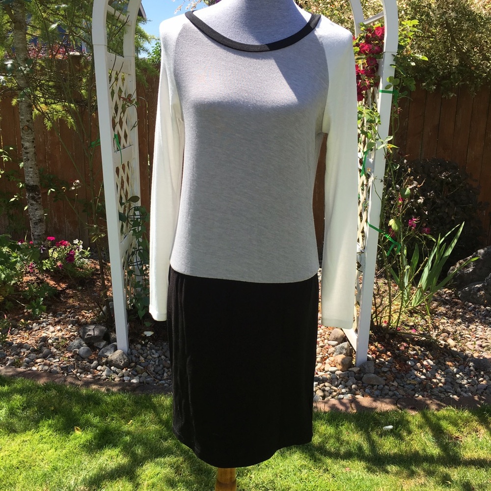 NWT Piperlime Colorblock Drop Waist Dress