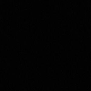 Meet your Posher, Allie