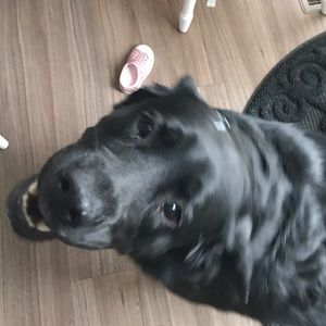 Meet your Posher, Kelly