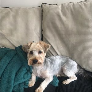 Meet your Posher, Christine