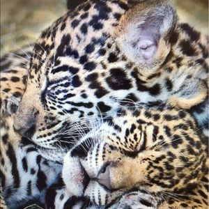 THE BEAUTY OF THE BUNDLE! 10% off 2 items! 💚💛