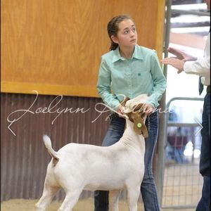 Meet your Posher, Chloe