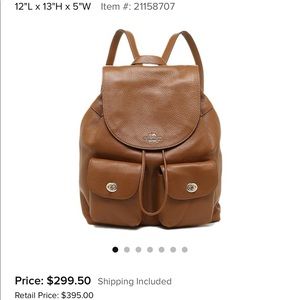 🎇COACH Backpack✨