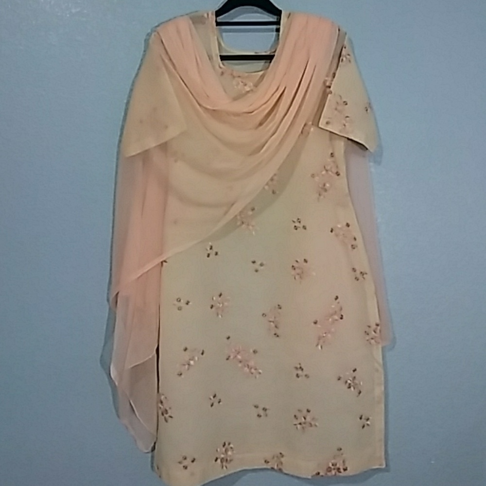 Indian Punjabi Pakistani Suit