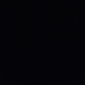 Meet your Posher, Bailey