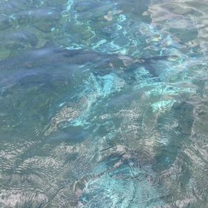 Meet your Posher, Shu