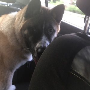 Meet your Posher, Marissa