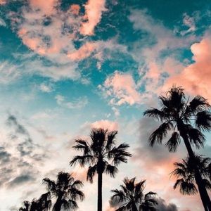 Meet your Posher, Dijorno