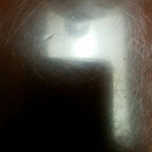 Meet your Posher, Leonel