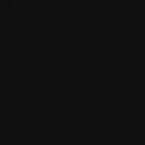 Meet your Posher, Abigail