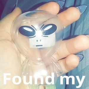 Meet your Posher, Carmen