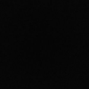 Meet your Posher, Lila