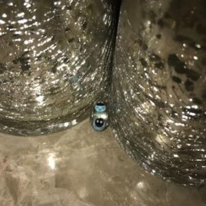 Blue Lady Bug Murano Glass Pandora Charm