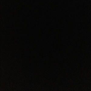 Meet your Posher, Isabella