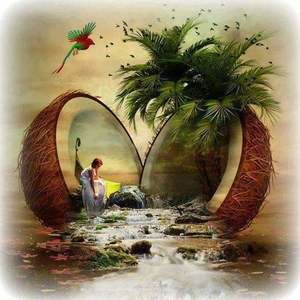 Meet your Posher, Trish