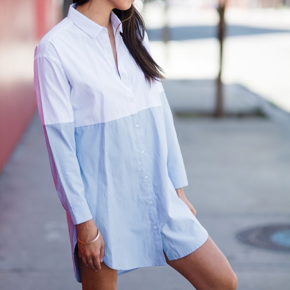 Blue/White Button Down Shirt Dress