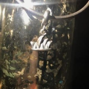 Sydney Opera House Pandora Charm