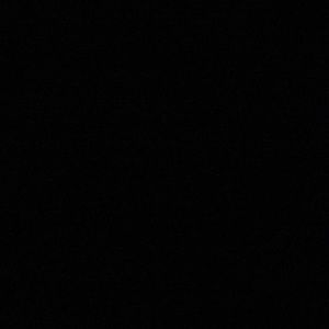 Meet your Posher, Sonny