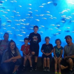 Meet your Posher, Billy