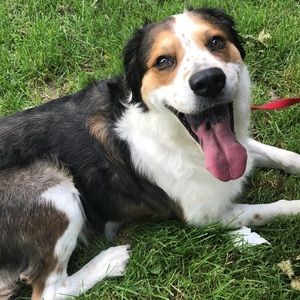 Meet your Posher, Dani