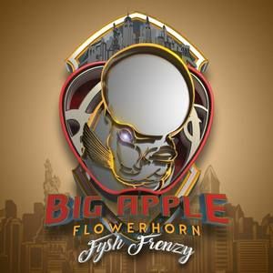 Meet your Posher, Sheik