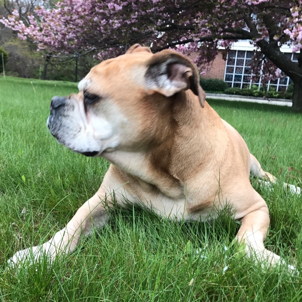 Meet your Posher, Allison