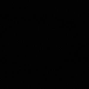 Meet your Posher, Nesha