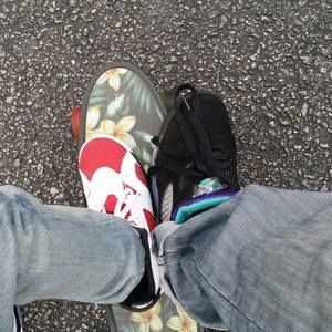 Meet your Posher, Noel