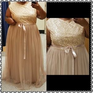 Plus Size Never Worn Tulle Dress