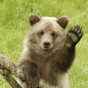 Meet your Posher, Jana