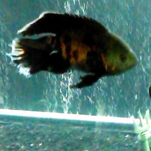 Meet your Posher, Kathryn