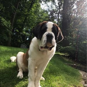 Meet your Posher, Jack